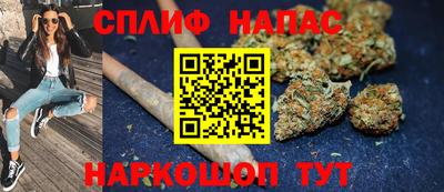 сатива Шебекино