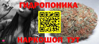 сатива Шебекино